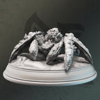 Kopok – Stone Spider
